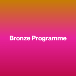 Bronze Programme