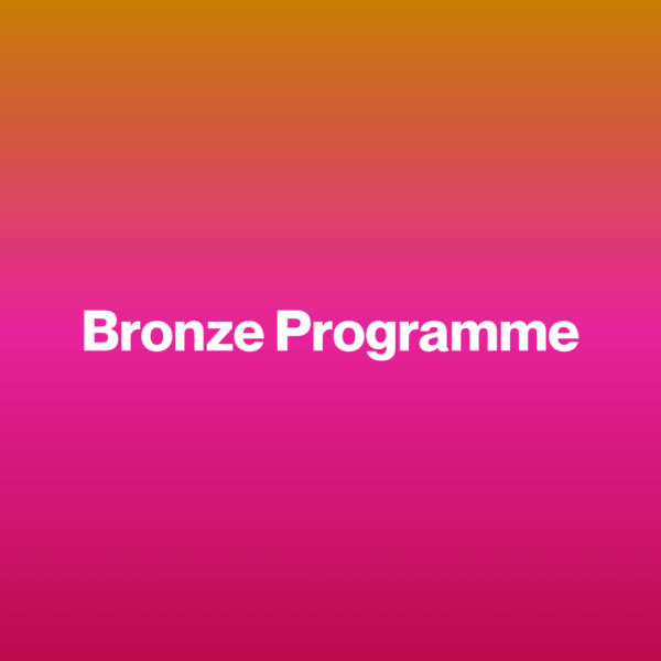 Bronze Programme